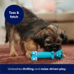 Frisco Latex Squeaky Puppy Toy -Frisco 174775 PT5. AC SS1800 V1691784247