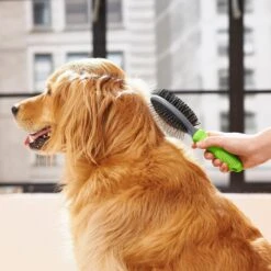 Frisco Cat & Dog Pin Bristle Brush 12 Frisco Cat & Dog Pin Bristle Brush -Frisco 206855 PT6. AC SS1800 V1680186157