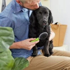 Frisco Cat & Dog Combo Brush, Mini -Frisco 206857 PT4. AC SS1800 V1680186386