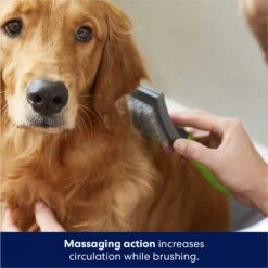 Frisco Self-Cleaning Slicker Dog Brush 12 Frisco Self-Cleaning Slicker Dog Brush -Frisco 206863 PT5. AC SS1800 V1680186156