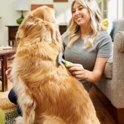 Frisco Shedding Rake Dog & Cat Brush -Frisco 206871 PT6. AC SS1800 V1680186390