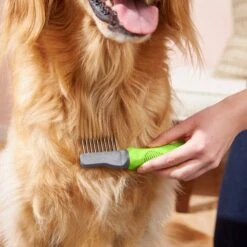 Frisco Dematting Dog Rake, One Size 10 Frisco Dematting Dog Rake, One Size -Frisco 206873 PT6. AC SS1800 V1680186104