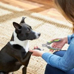 Frisco Dog Nail Trimmer -Frisco 206877 PT4. AC SS1800 V1680186157