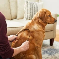 Frisco Shedding Blade Dog Brush, One Size -Frisco 206895 PT6. AC SS1800 V1680186099