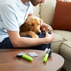 Frisco Beginner Grooming Kit For Dogs And Cats 18 Frisco Beginner Grooming Kit For Dogs And Cats -Frisco 206909 PT7. AC SS1800 V1680186156