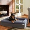 Frisco Orthopedic Rectangular Bolster Cat & Dog Bed W/Removable Cover 2 Frisco Orthopedic Rectangular Bolster Cat & Dog Bed W/Removable Cover -Frisco 210226 MAIN. AC SS1800 V1590067652