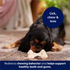 Frisco Chicken Flavor Tough Nylon Dog Chew Toy 12 Frisco Chicken Flavor Tough Nylon Dog Chew Toy -Frisco 213432 PT5. AC SS1800 V1691784031