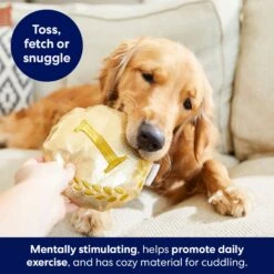 Frisco Gold Medal Round Plush Squeaky Dog Toy -Frisco 214082 PT6. AC SS1800 V1679069984