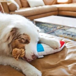 Frisco Summer Fun Plush & Rope Popsicle Dog Toy -Frisco 214703 PT6. AC SS1800 V1597596505