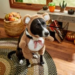 Frisco Front Walking Teddy Bear Dog & Cat Costume 17 Frisco Front Walking Teddy Bear Dog & Cat Costume -Frisco 215507 PT8. AC SS1800 V1689628224