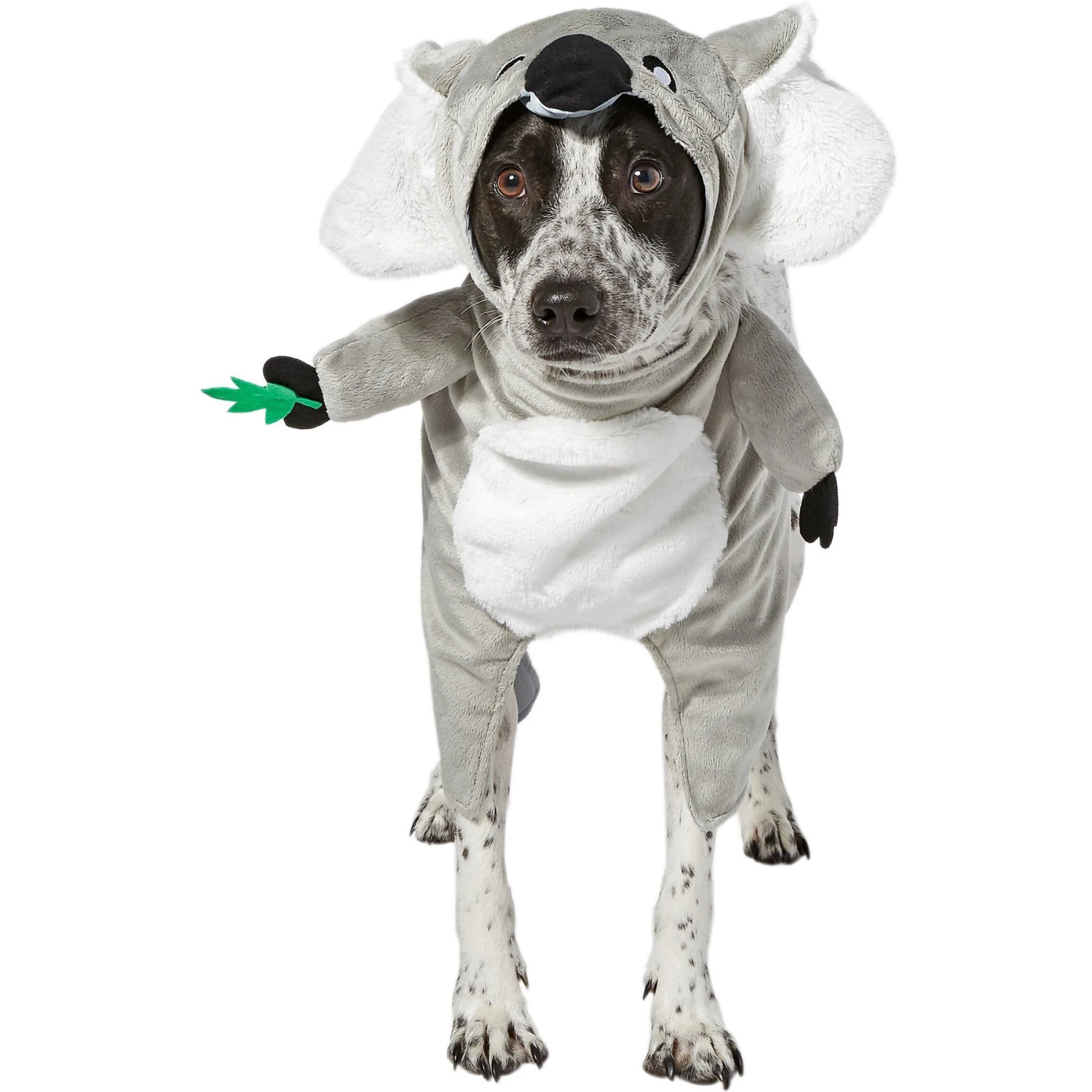 Frisco Front Walking Koala Dog & Cat Costume 3 Frisco Front Walking Koala Dog & Cat Costume