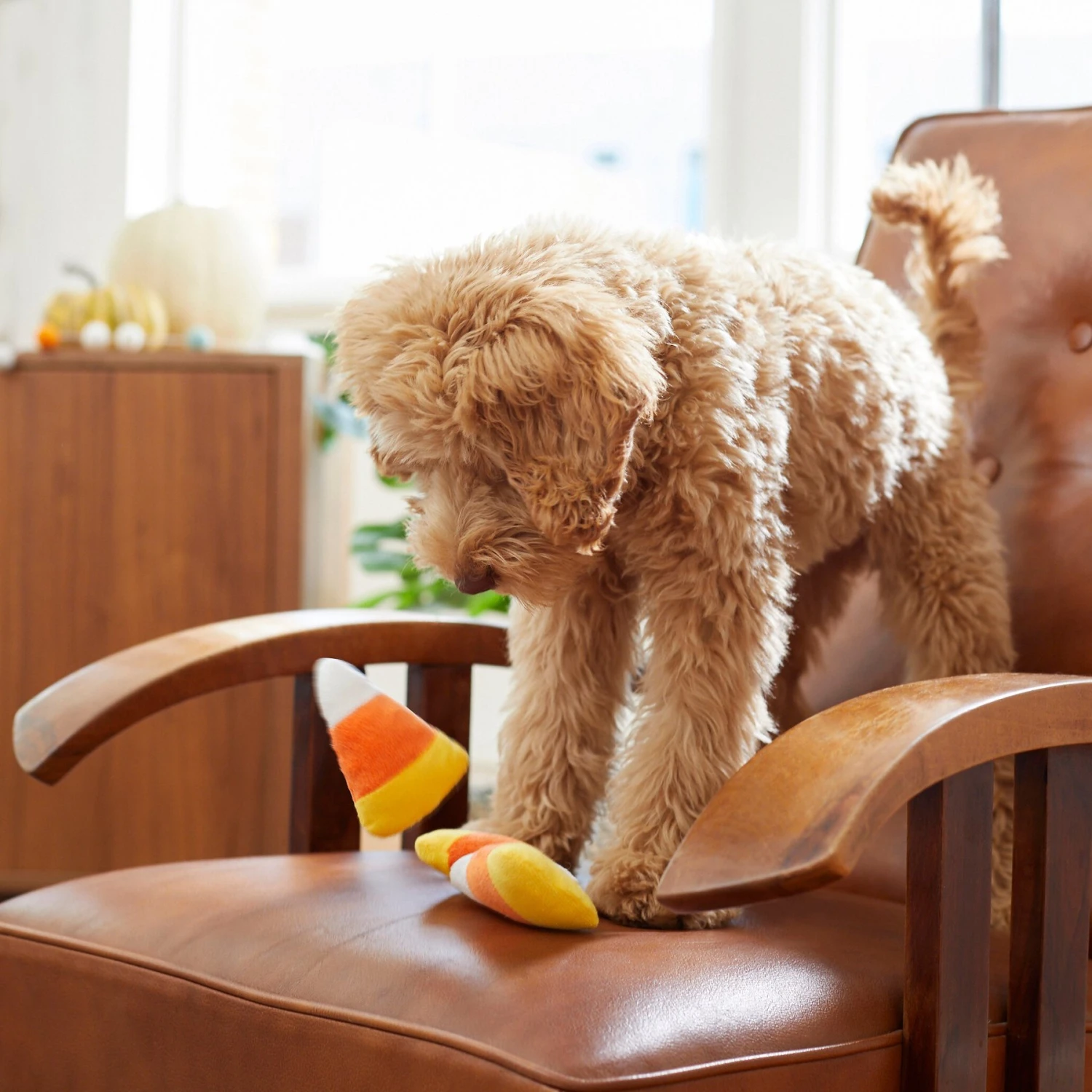 Frisco Halloween Candy Corn Plush Squeaky Dog Toy 5 Frisco Halloween Candy Corn Plush Squeaky Dog Toy - Image 3