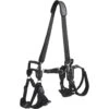 Frisco Front & Rear Lift Handicapped Support Dog Harness -Frisco 220372 MAIN. AC SS1800 V1596501363