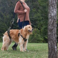 Frisco Front & Rear Lift Handicapped Support Dog Harness -Frisco 220372 PT7. AC SS1800 V1605738439