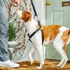 Frisco Nylon Step In Back Clip Dog Harness 11 Frisco Nylon Step In Back Clip Dog Harness -Frisco 220519 PT4. AC SS1800 V1605582116