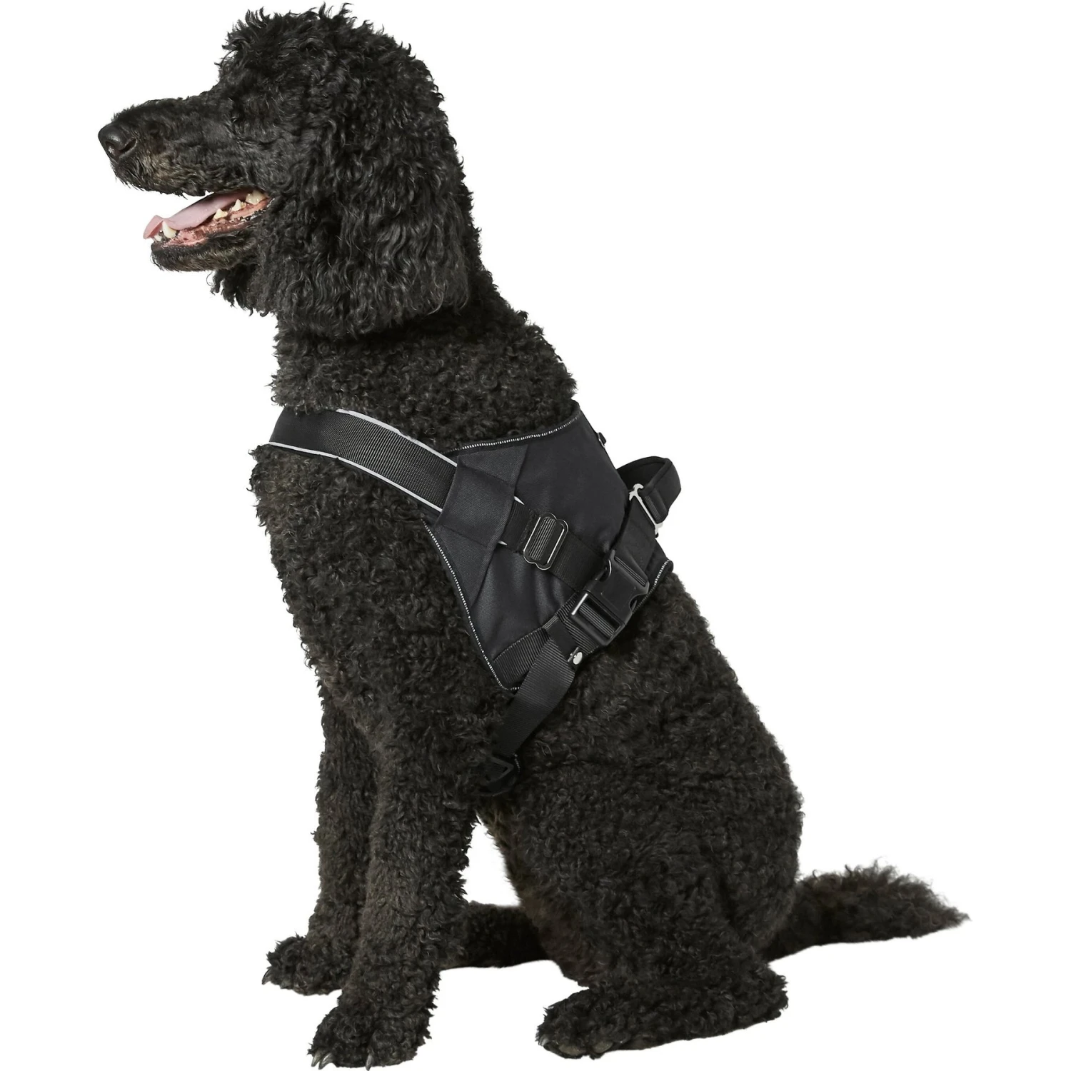 Frisco Big Dog Harness 7 Frisco Big Dog Harness - Image 5