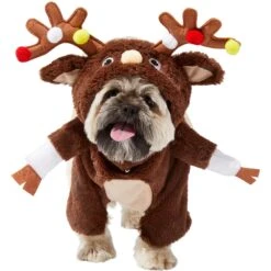 Frisco Front Walking Reindeer Dog & Cat Costume, 1 Count 13 Frisco Front Walking Reindeer Dog & Cat Costume, 1 Count -Frisco 228790 PT2. AC SS1800 V1636731101