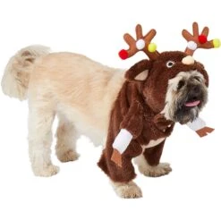 Frisco Front Walking Reindeer Dog & Cat Costume, 1 Count 14 Frisco Front Walking Reindeer Dog & Cat Costume, 1 Count -Frisco 228790 PT3. AC SS1800 V1631299657