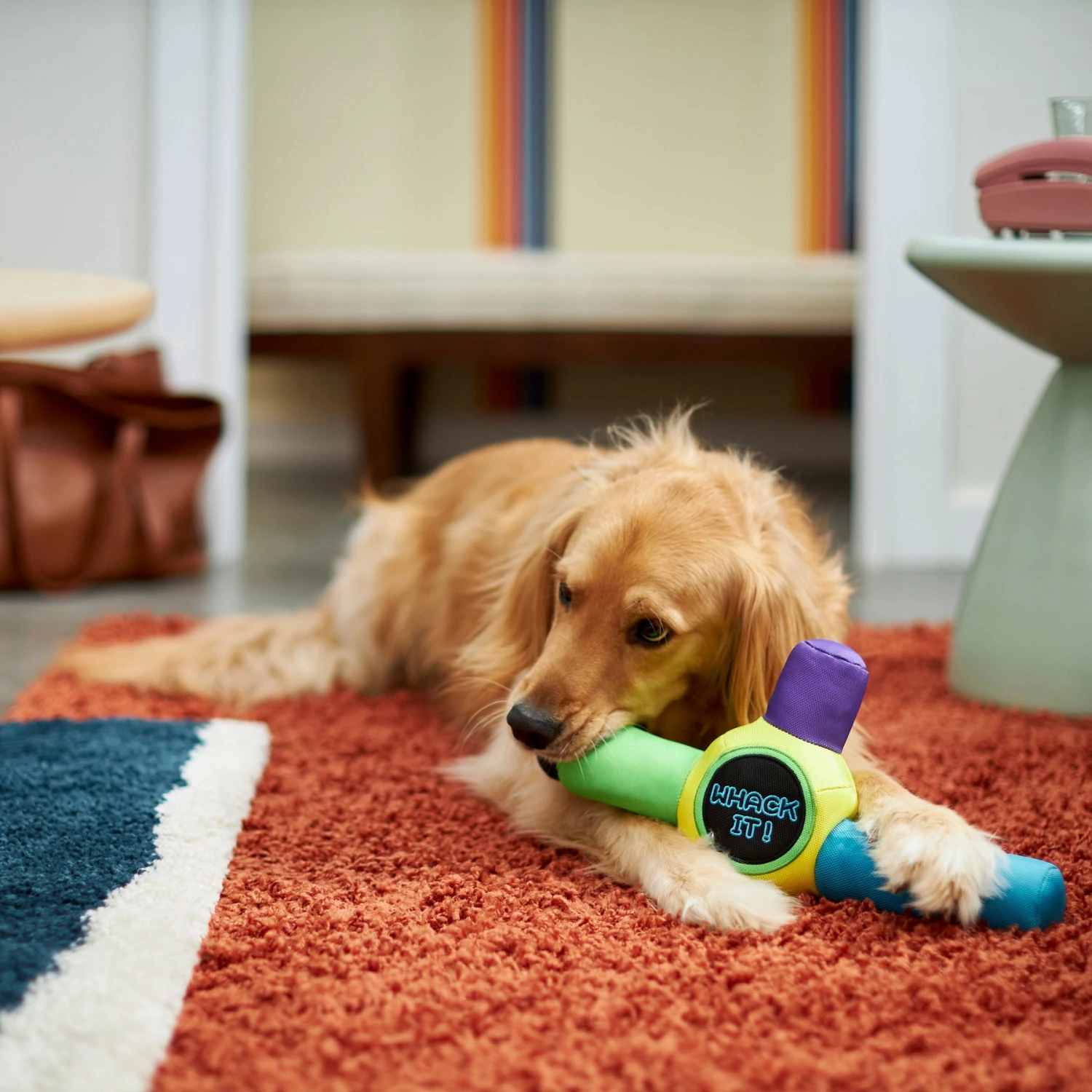 Frisco Retro Whack It! Ballistic Nylon Plush Squeaky Dog Toy 5 Frisco Retro Whack It! Ballistic Nylon Plush Squeaky Dog Toy - Image 3