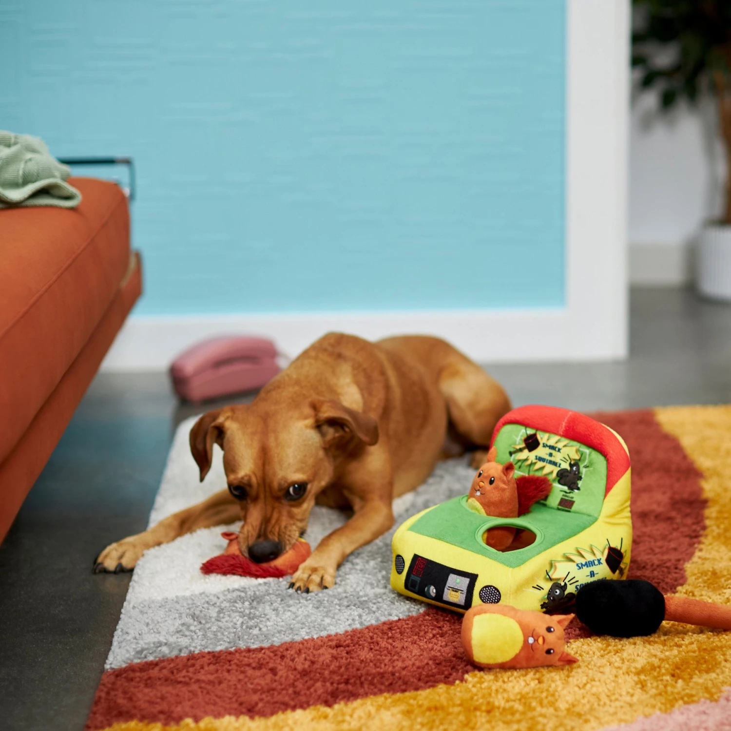 Frisco Retro Smack-a-Squirrel Hide & Seek Puzzle Plush Squeaky Dog Toy 6 Frisco Retro Smack-a-Squirrel Hide & Seek Puzzle Plush Squeaky Dog Toy - Image 4