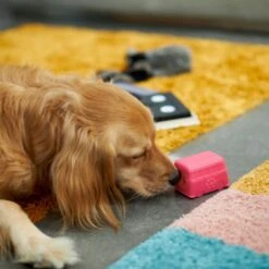 Frisco Retro Funky Van TPE Treat Dispenser Dog Toy, Medium/Large 10 Frisco Retro Funky Van TPE Treat Dispenser Dog Toy, Medium/Large -Frisco 230383 PT4. AC SS1800 V1669908614