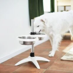 Frisco Adjustable Stainless Steel Double Elevated Dog Bowls 15 Frisco Adjustable Stainless Steel Double Elevated Dog Bowls -Frisco 232097 PT8. AC SS1800 V1605740511