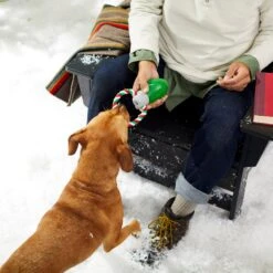 Frisco Holiday Christmas Light Rope With TPR Squeaky Dog Toy 9 Frisco Holiday Christmas Light Rope With TPR Squeaky Dog Toy -Frisco 233278 PT2. AC SS1800 V1601641574