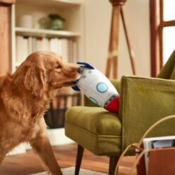 Frisco Ballistic Nylon Plush Squeaky Rocket Ship Dog Toy 7 Frisco Ballistic Nylon Plush Squeaky Rocket Ship Dog Toy -Frisco 233581 PT3. AC SS1800 V1600973767