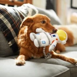 Frisco Ballistic Nylon Plush With Rope Squeaky Astronaut Dog Toy 7 Frisco Ballistic Nylon Plush With Rope Squeaky Astronaut Dog Toy -Frisco 233585 PT3. AC SS1800 V1600973761