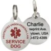 Frisco Service Personalized Dog ID Tag, Round Shape -Frisco 233739 main. AC SS1800 V1588081905