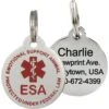 Frisco Emotional Support Animal Personalized Dog & Cat ID Tag, Round Shape 1 Frisco Emotional Support Animal Personalized Dog & Cat ID Tag, Round Shape -Frisco 233749 main. AC SS1800 V1588082162