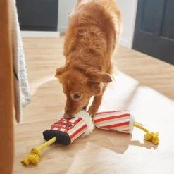 Frisco Zoomies & Chill Theatre Snacks Rope With Plush Squeaky Dog Toy -Frisco 241689 PT6. AC SS1800 V1610768279