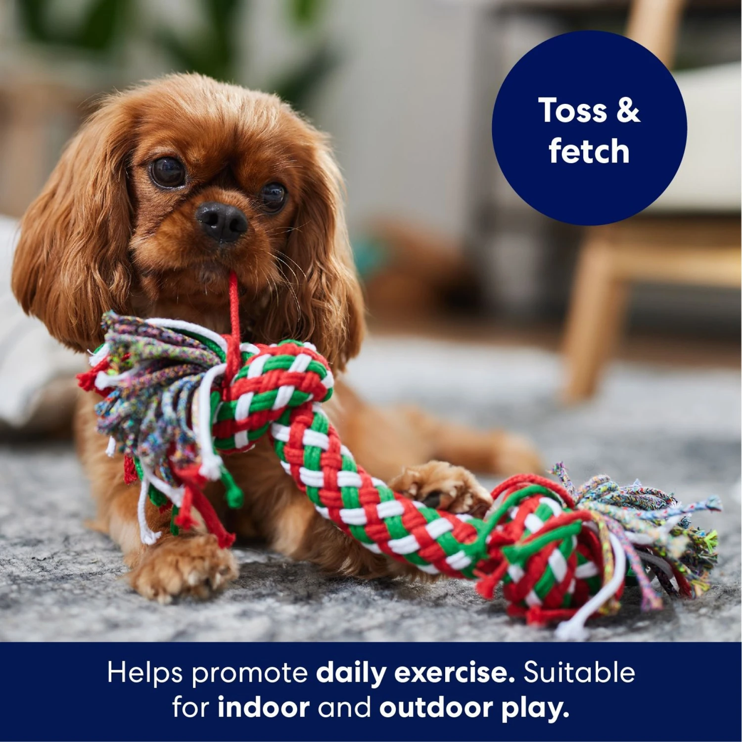 Frisco Double Knot Tri-Color Rope Fetch Dog Toy 5 Frisco Double Knot Tri-Color Rope Fetch Dog Toy - Image 3