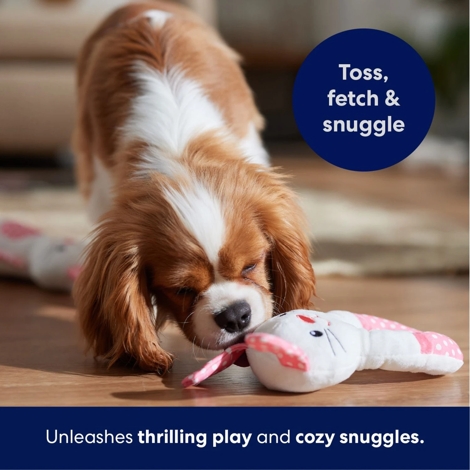 Frisco Bunny Plush Squeaky Puppy Toy 6 Frisco Bunny Plush Squeaky Puppy Toy - Image 4