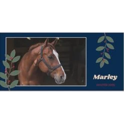 Frisco Berry Garland Personalized Coffee Mug, 11-oz 8 Frisco Berry Garland Personalized Coffee Mug, 11-oz -Frisco 249333 PT2. AC SS1800 V1602863774