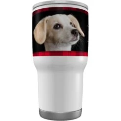 Frisco Double Walled Red Plaid Personalized Tumbler, 30-oz Cup 12 Frisco Double Walled Red Plaid Personalized Tumbler, 30-oz Cup -Frisco 249346 PT3. AC SS1800 V1602042957