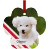 Frisco Peppermint Stripes Paw Shape Metal Personalized Dog & Cat Holiday Ornament -Frisco 249371 MAIN. AC SS1800 V1602613266