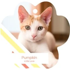 Frisco Peppermint Stripes Paw Shape Metal Personalized Dog & Cat Holiday Ornament -Frisco 249371 PT2. AC SS1800 V1602634570