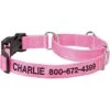 Frisco Solid Nylon Personalized Martingale Dog Collar 2 Frisco Solid Nylon Personalized Martingale Dog Collar -Frisco 249561 MAIN. AC SS1800 V1699636209