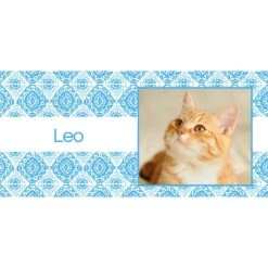 Frisco Double Walled Boho Damask Personalized Tumbler, 30-oz Cup 9 Frisco Double Walled Boho Damask Personalized Tumbler, 30-oz Cup -Frisco 250749 PT2. AC SS1800 V1606680445