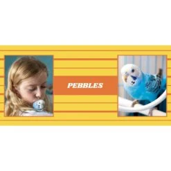 Frisco Double Walled Preppy Stripes Personalized Tumbler, 30-oz Cup -Frisco 250751 PT2. AC SS1800 V1606678620