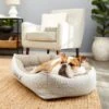 Frisco Rectangular Personalized Bolster Dog Bed W/Removable Cover, Beige, X-Large 2 Frisco Rectangular Personalized Bolster Dog Bed W/Removable Cover, Beige, X-Large -Frisco 252615 MAIN. AC SS1800 V1604499115