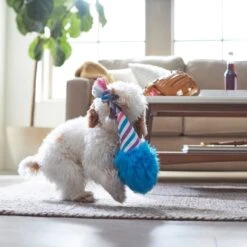 Frisco Baseball Cotton Candy Plush With Rope Squeaky Dog Toy 7 Frisco Baseball Cotton Candy Plush With Rope Squeaky Dog Toy -Frisco 252750 PT5. AC SS1800 V1615814567