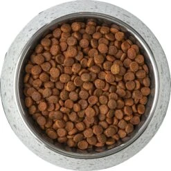 Frisco Quartz Design Stainless Steel Dog & Cat Bowl -Frisco 253044 PT5. AC SS1800 V1616526766