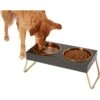 Frisco Copper Stainless Steel Elevated Foldable Double Dog & Cat Bowls 1 Frisco Copper Stainless Steel Elevated Foldable Double Dog & Cat Bowls -Frisco 253060 MAIN. AC SS1800 V1616073913