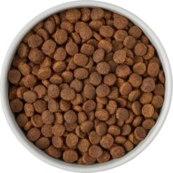 Frisco Ceramic Food Dog & Cat Bowl With Wood Base 12 Frisco Ceramic Food Dog & Cat Bowl With Wood Base -Frisco 256043 PT6. AC SS1800 V1615311151