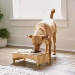 Frisco Ceramic Dog & Cat Double Diner With Elevated Wood Stand -Frisco 256052 PT2. AC SS1800 V1615311142