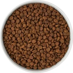 Frisco Paw Prints Non-skid Ceramic Bowl 13 Frisco Paw Prints Non-skid Ceramic Bowl -Frisco 256072 PT5. AC SS1800 V1615312318