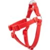 Frisco Outdoor Solid Textured Waterproof Stink Proof PVC Dog Harness -Frisco 256518 MAIN. AC SS1800 V1699629359