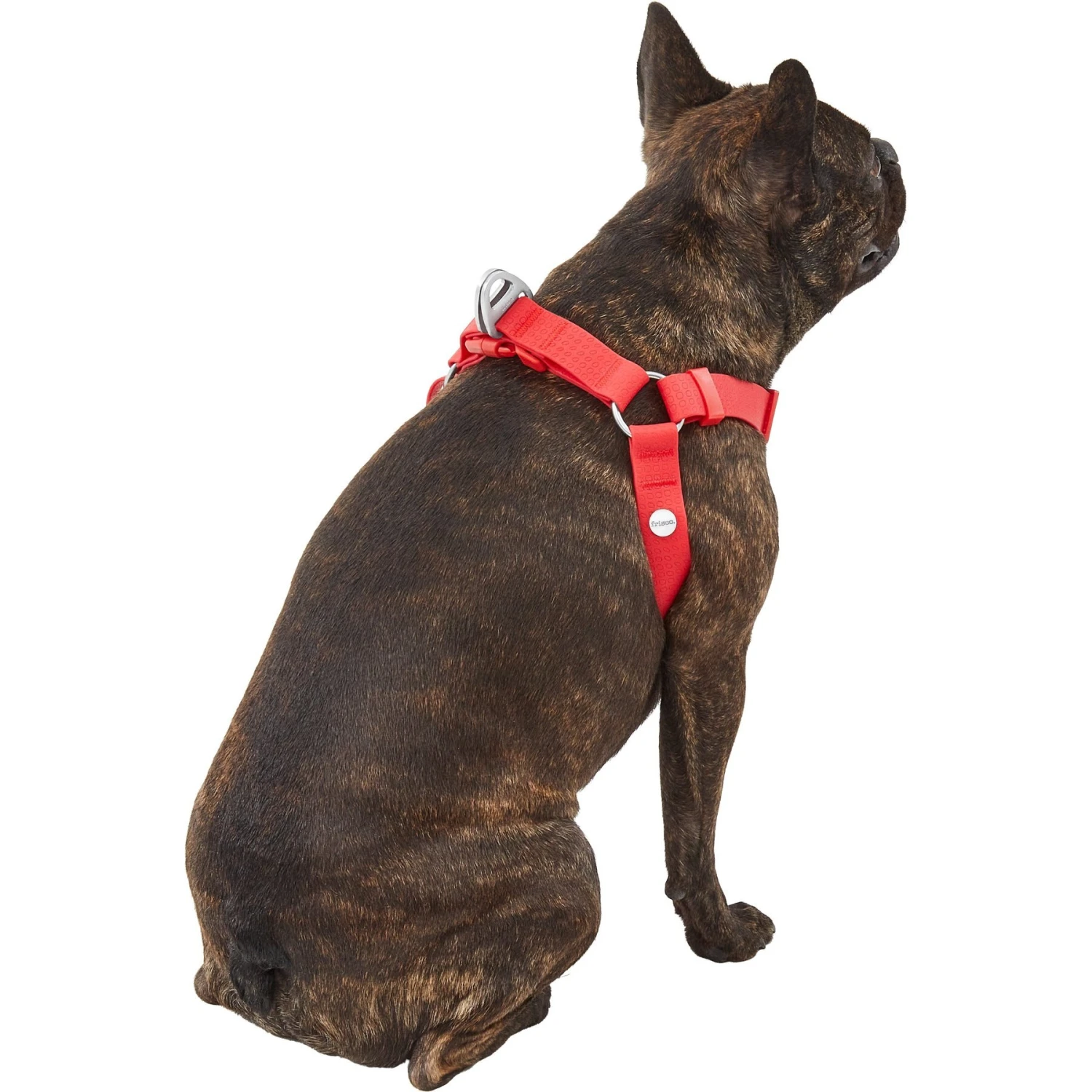 Frisco Outdoor Solid Textured Waterproof Stink Proof PVC Dog Harness 6 Frisco Outdoor Solid Textured Waterproof Stink Proof PVC Dog Harness - Image 4